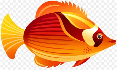 fish clear background|Collection of Fish Clipart Transparent Background (48).